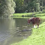Domaine Du Moulin De L'etang Frühstückspension Châtillon-sur-Marne