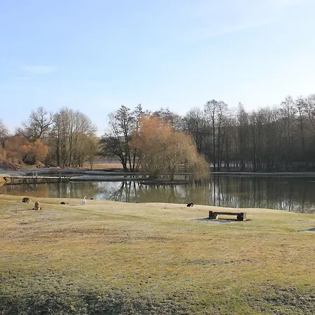 Domaine Du Moulin De L'etang