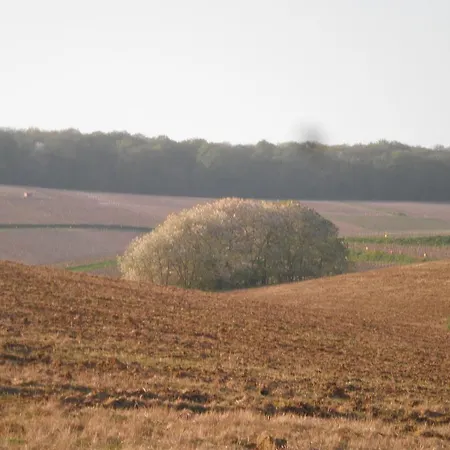 Domaine Du Moulin De L'etang Chatillon-sur-Marne