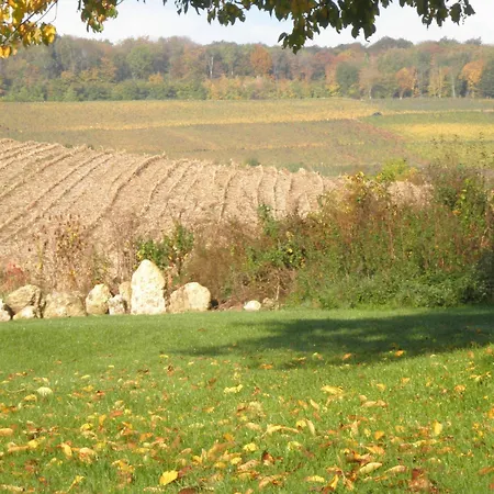 Domaine Du Moulin De L'etang ベッド・アンド・ブレックファスト Châtillon-sur-Marne