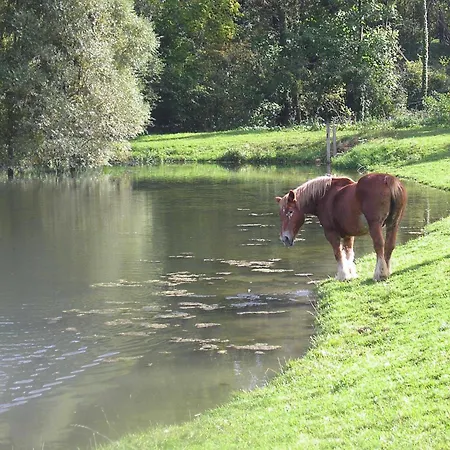 Domaine Du Moulin De L'etang ベッド・アンド・ブレックファスト Châtillon-sur-Marne