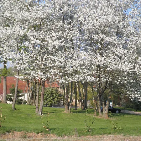 Nocleg ze śniadaniem Domaine Du Moulin De L'etang Châtillon-sur-Marne