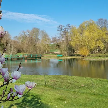 Domaine Du Moulin De L'etang Bed and Breakfast