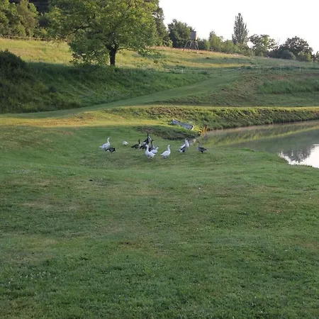 Nocleg ze śniadaniem Domaine Du Moulin De L'etang 3*