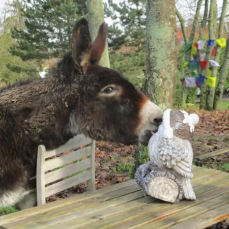 Domaine Du Moulin De L'etang 3* Châtillon-sur-Marne