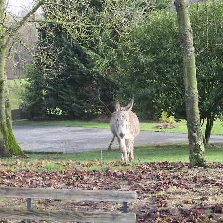Domaine Du Moulin De L'etang Bed & Breakfast