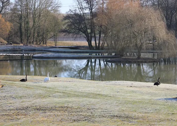 Domaine Du Moulin De L'etang Bed and Breakfast 3*