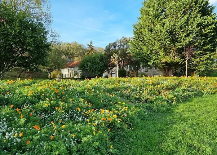 Domaine Du Moulin De L'etang Bed and Breakfast Châtillon-sur-Marne