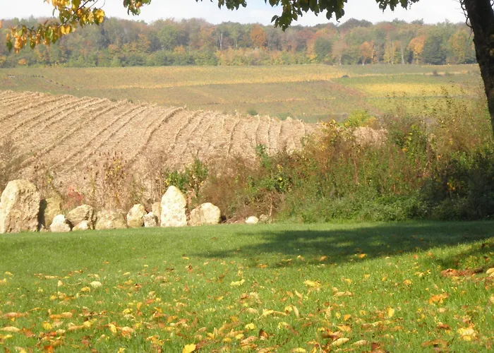 Domaine Du Moulin De L'etang Bed and Breakfast Châtillon-sur-Marne