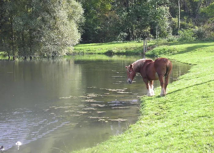 Domaine Du Moulin De L'etang Bed and Breakfast Châtillon-sur-Marne