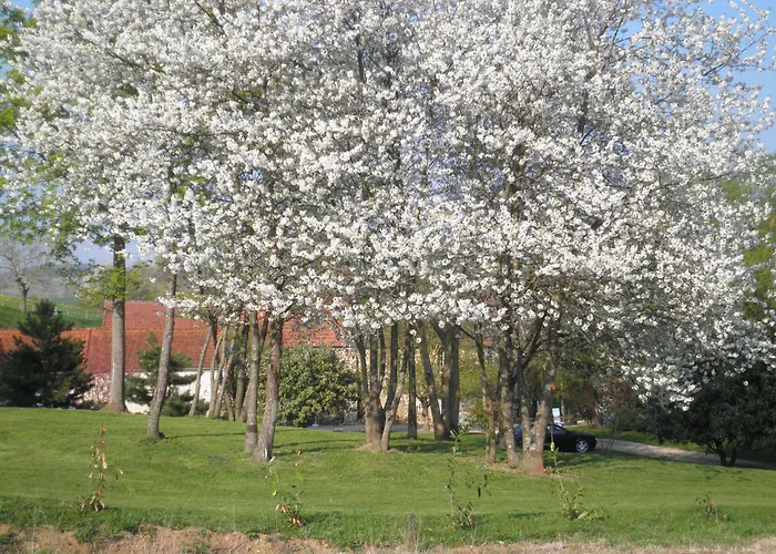 Bed and Breakfast Domaine Du Moulin De L'etang Châtillon-sur-Marne