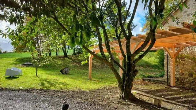 Bed and Breakfast Domaine Du Moulin De L'etang