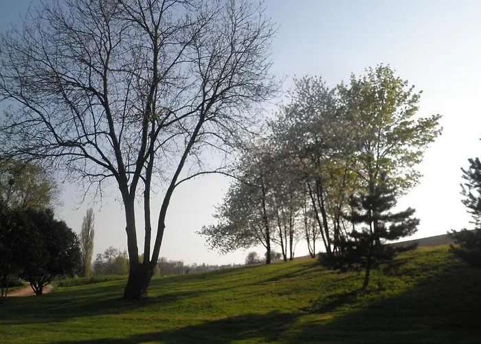 Domaine Du Moulin De L'etang Bed and Breakfast 3*