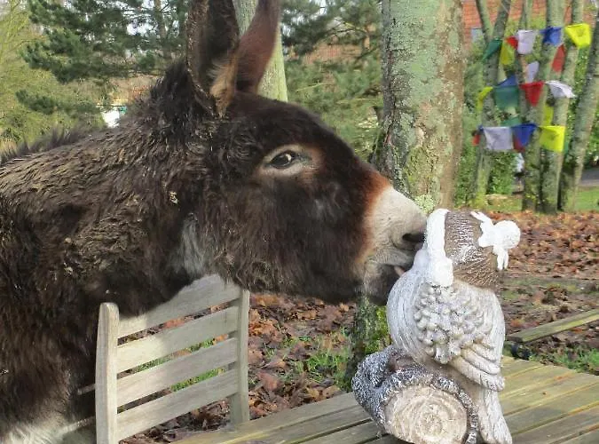 Domaine Du Moulin De L'etang 3* Châtillon-sur-Marne