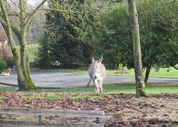 Domaine Du Moulin De L'etang Bed and Breakfast